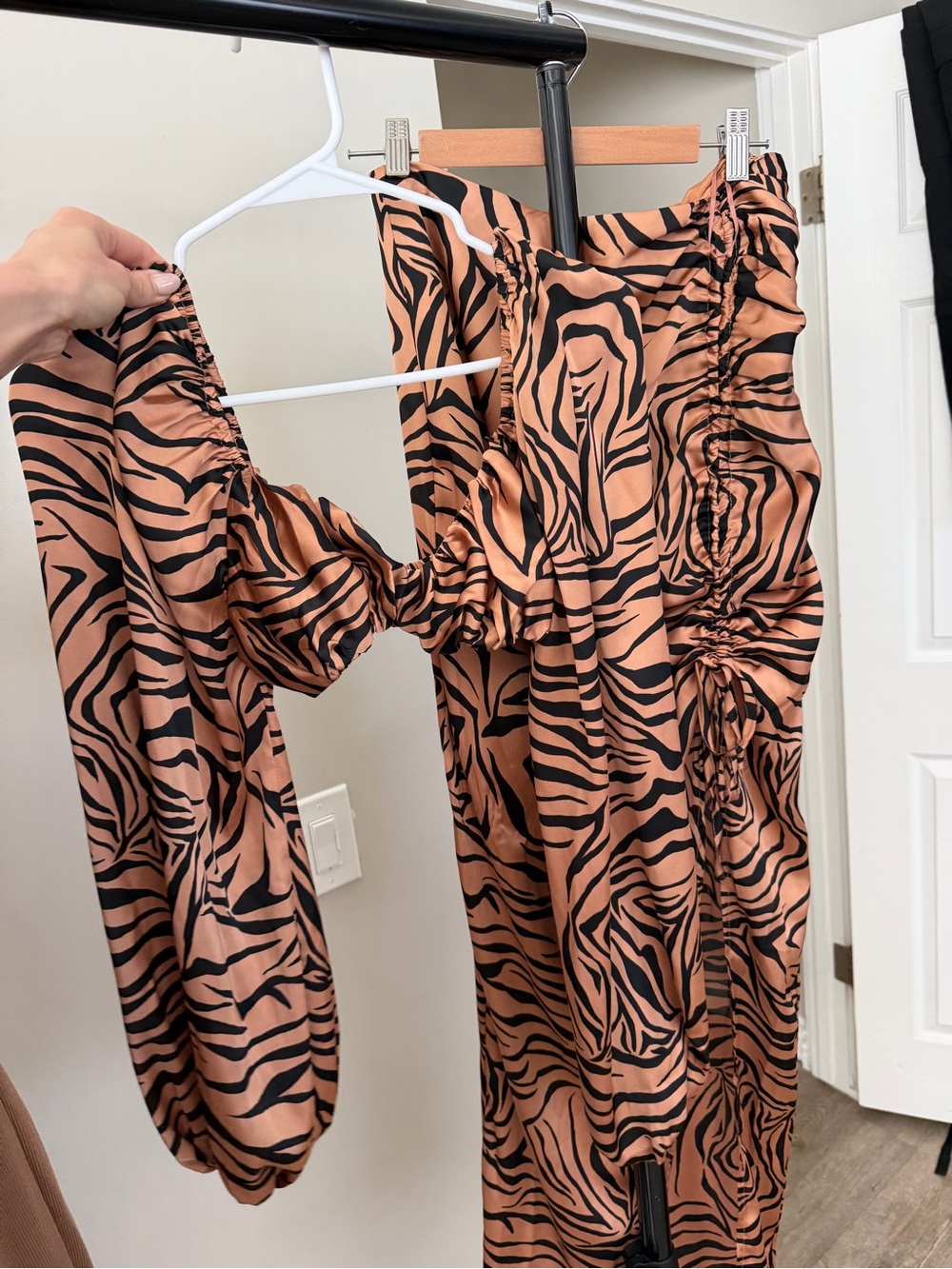 Cheetah set